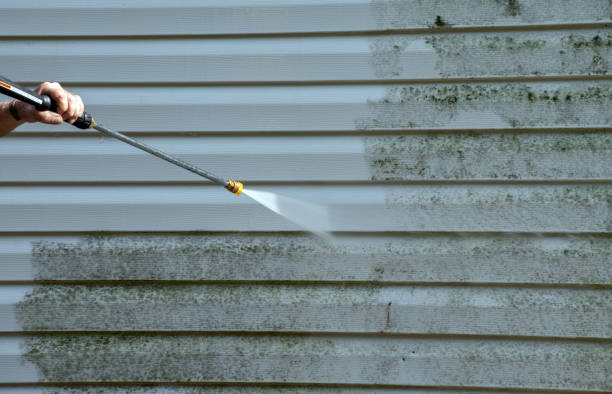 Best Mold Remediation for Specific Building Types in Harper, TX