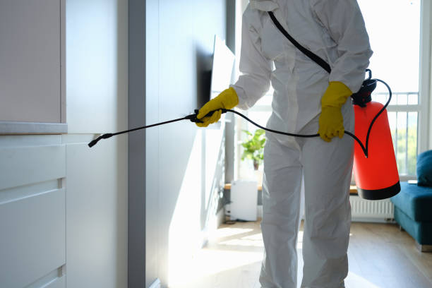 Best Commercial Mold Remediation in Harper, TX