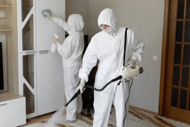 Best Mold Remediation for Specific Building Types in Harper, TX