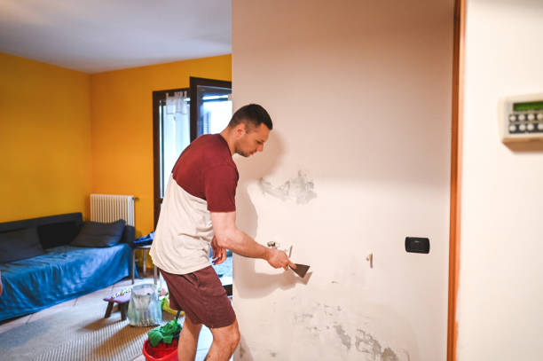 Best Emergency Mold Remediation in Harper, TX